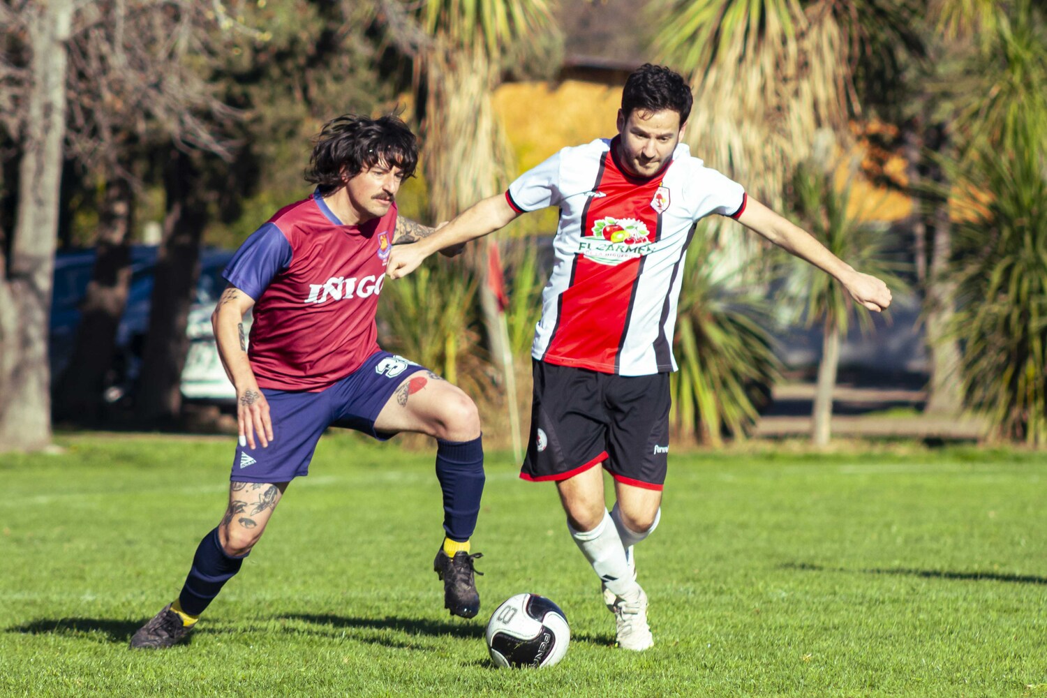 _MG_9952.jpg