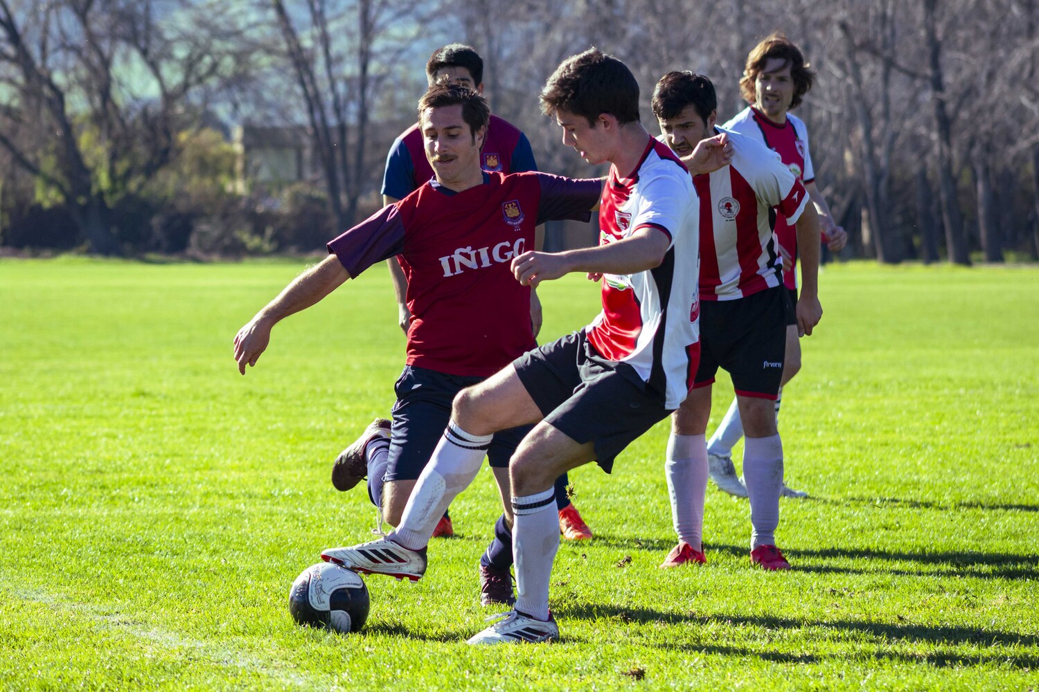 _MG_9985.jpg