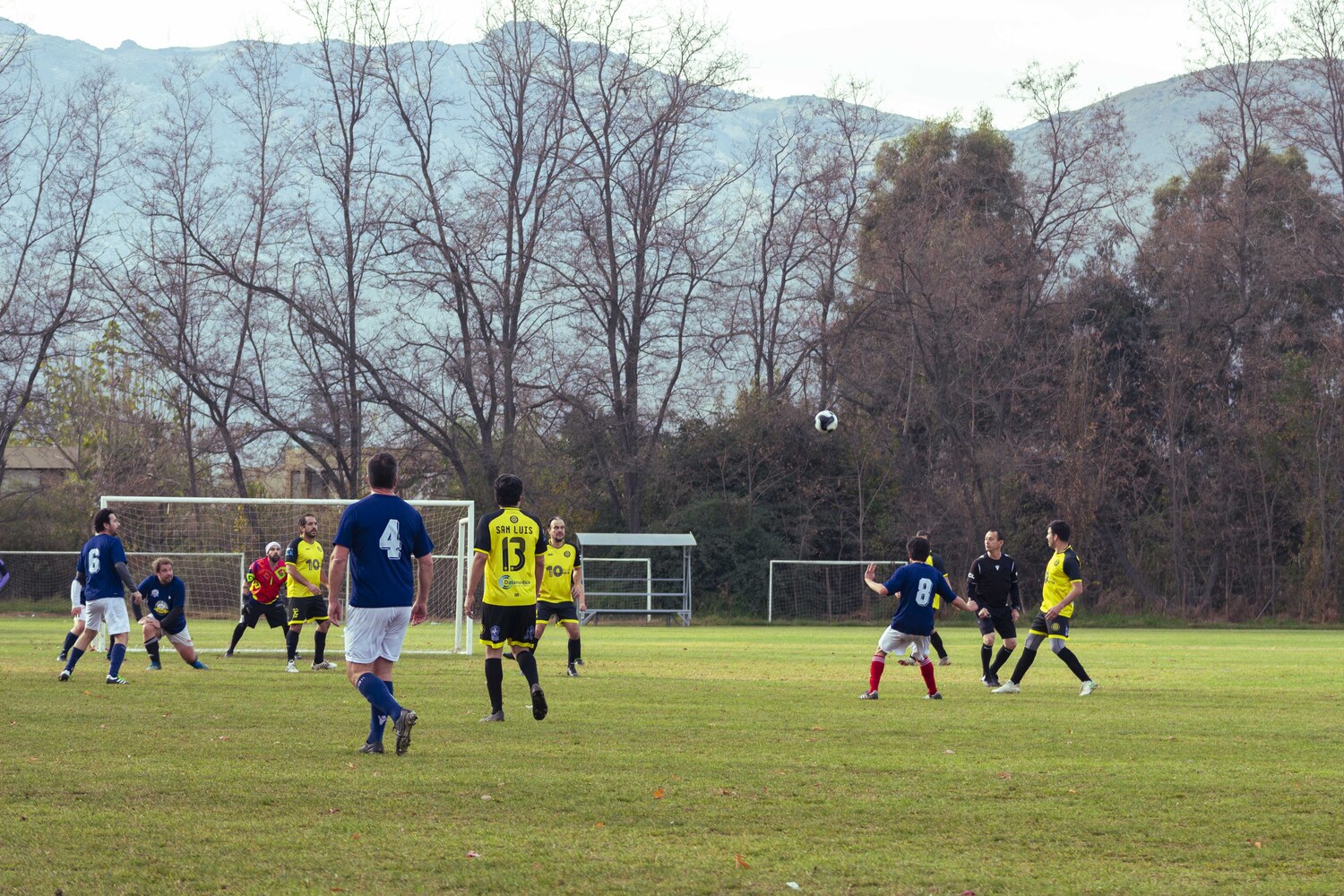 _MG_8026.jpg