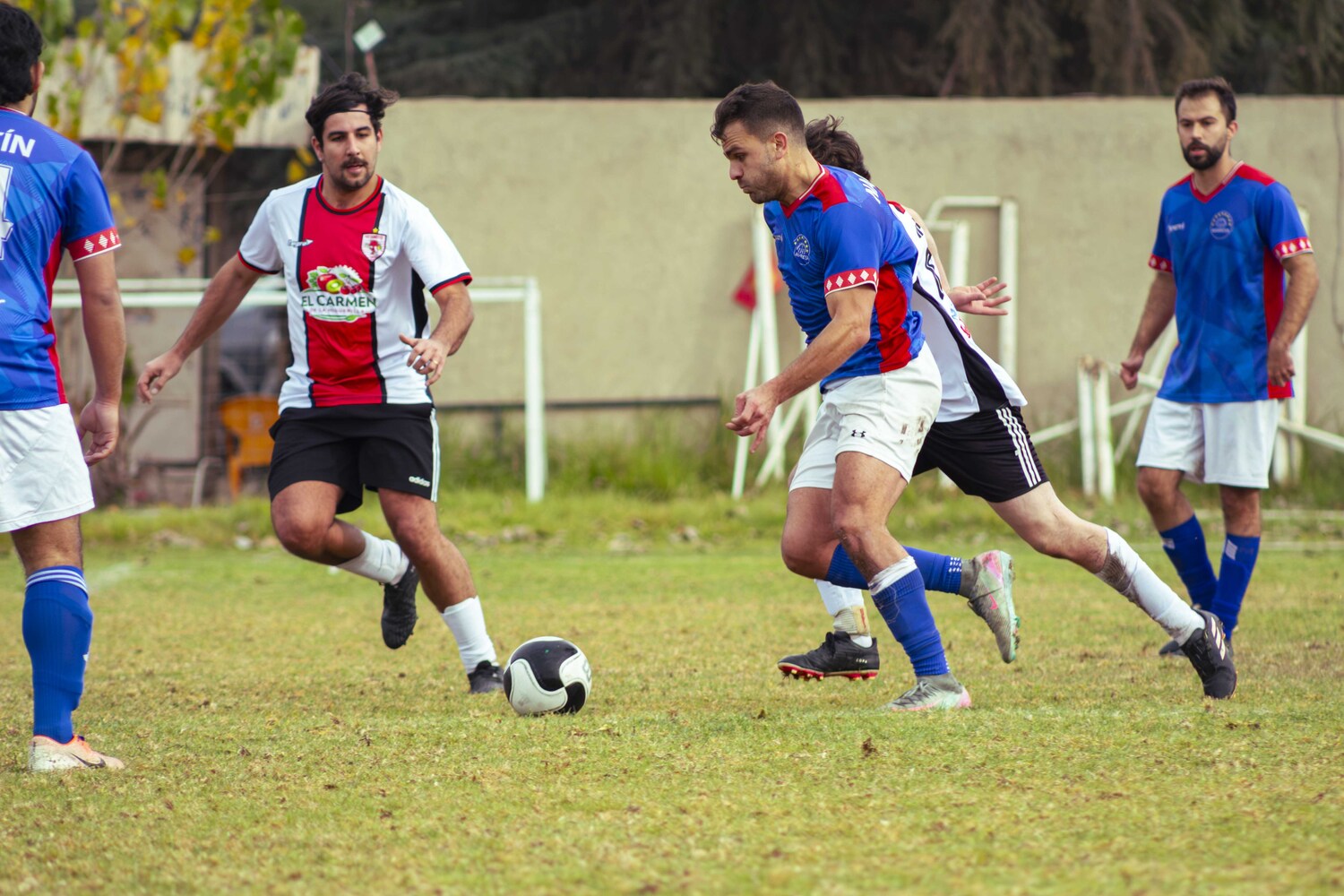 _MG_8094.jpg