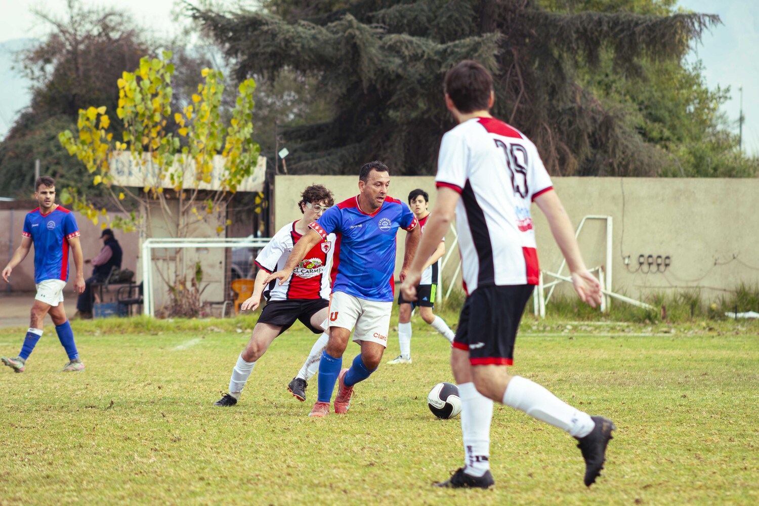 _MG_8102.jpg