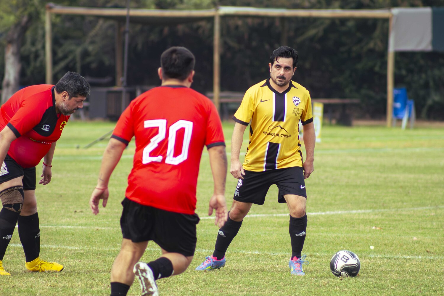 _MG_8169.jpg
