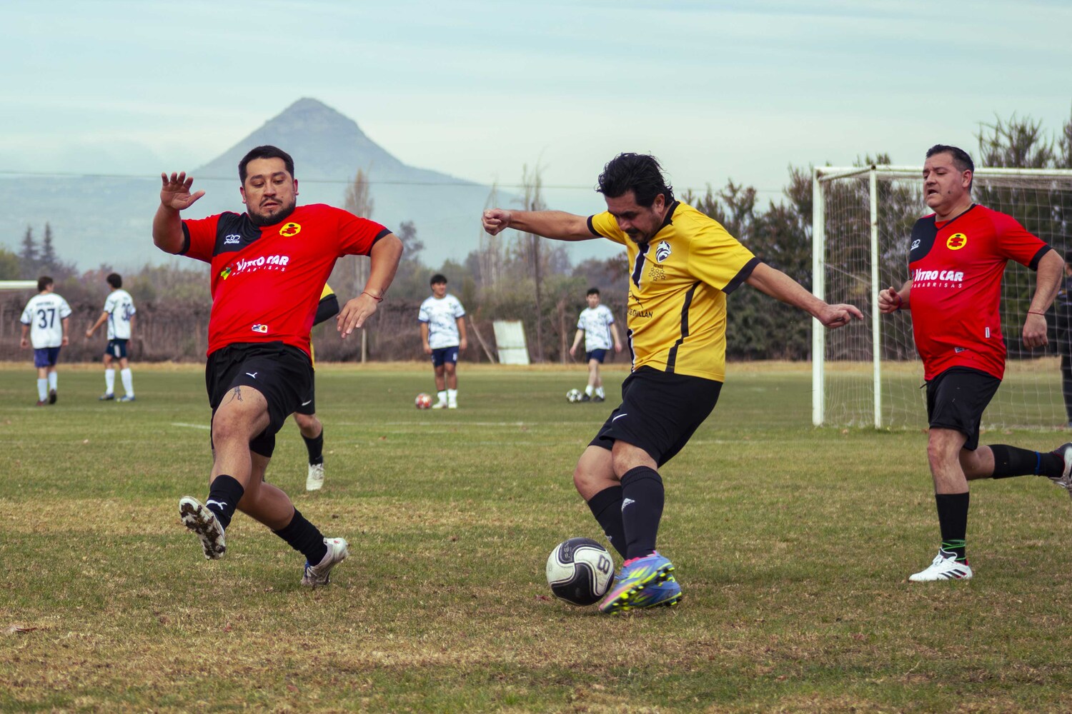 _MG_8177.jpg
