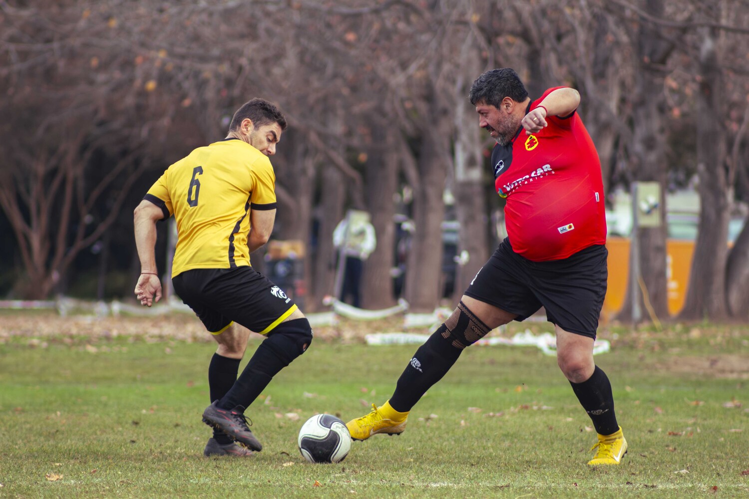 _MG_8179.jpg