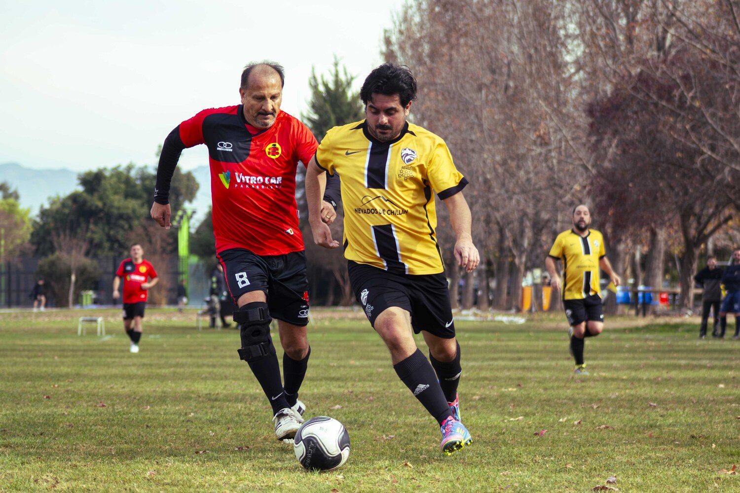 _MG_8185.jpg