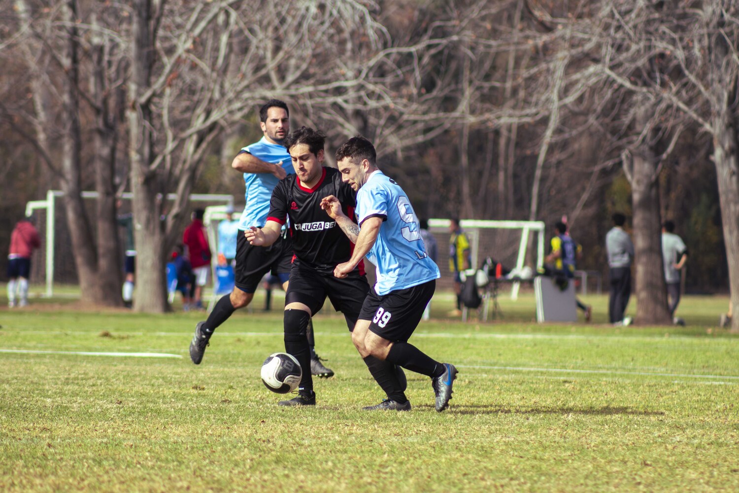 _MG_8254.jpg