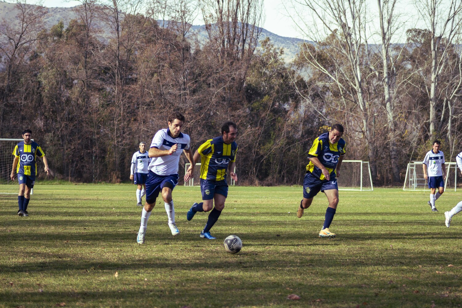 _MG_8289.jpg