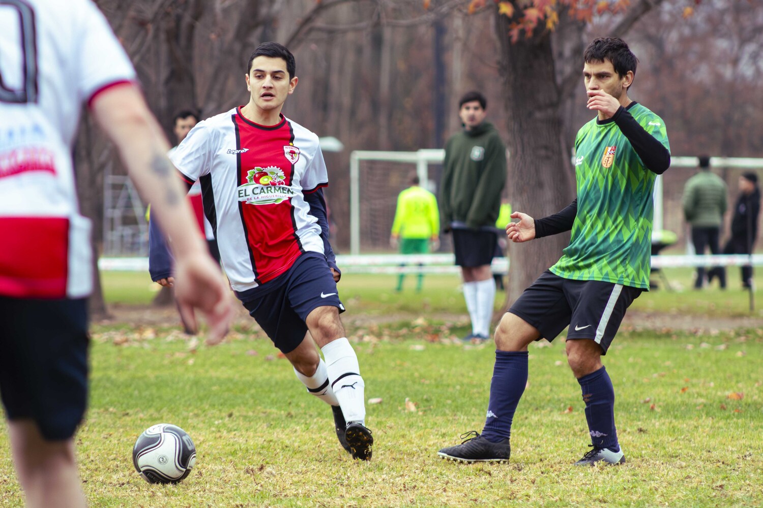 _MG_8353.jpg