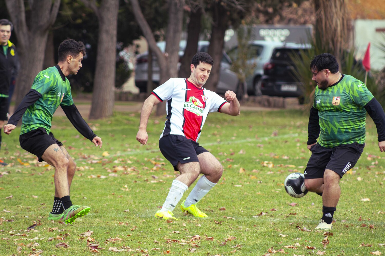_MG_8381.jpg