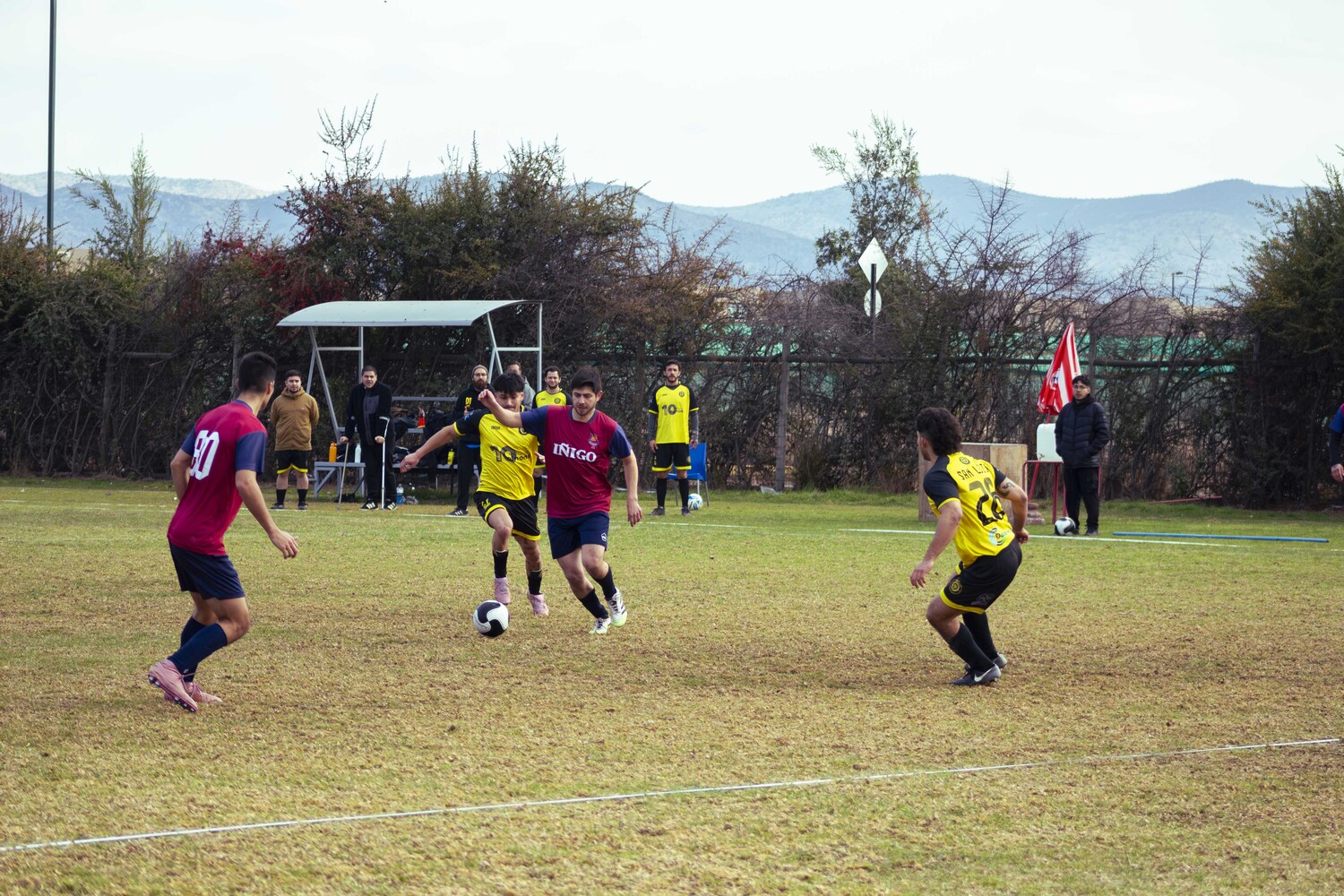 _MG_8431.jpg