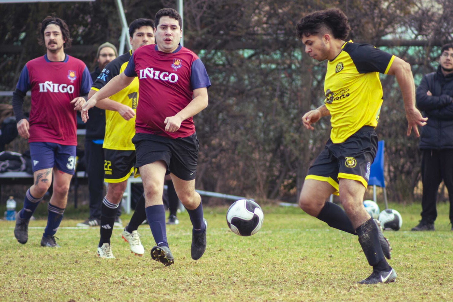 _MG_8439.jpg