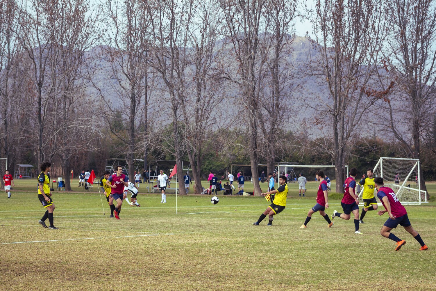 _MG_8468.jpg