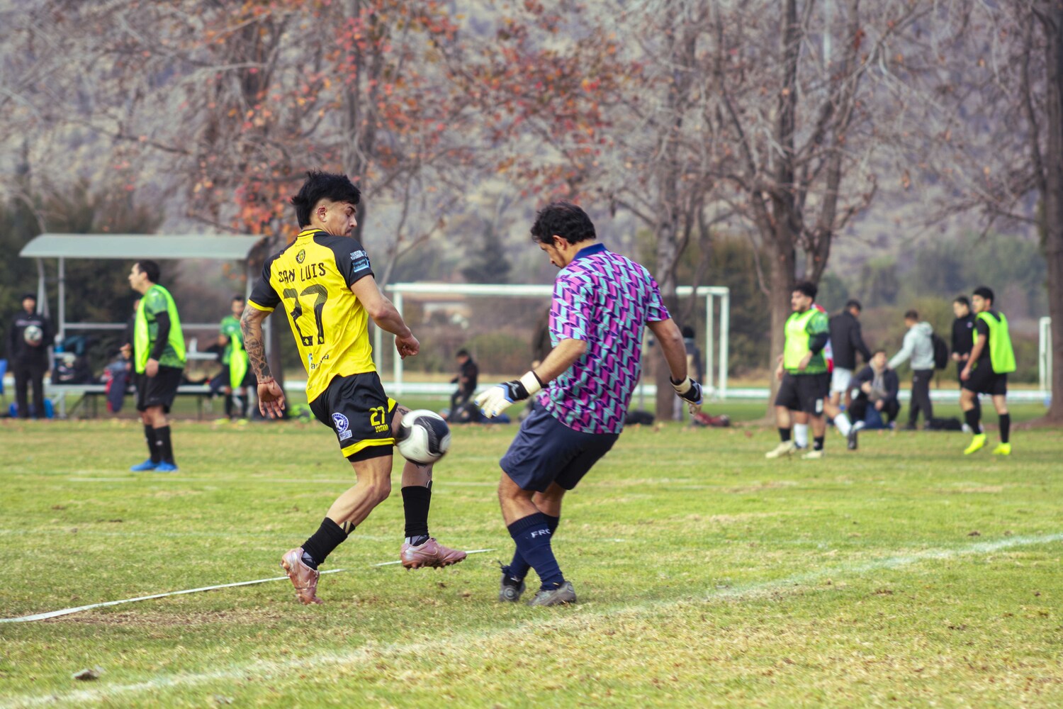 _MG_8473.jpg