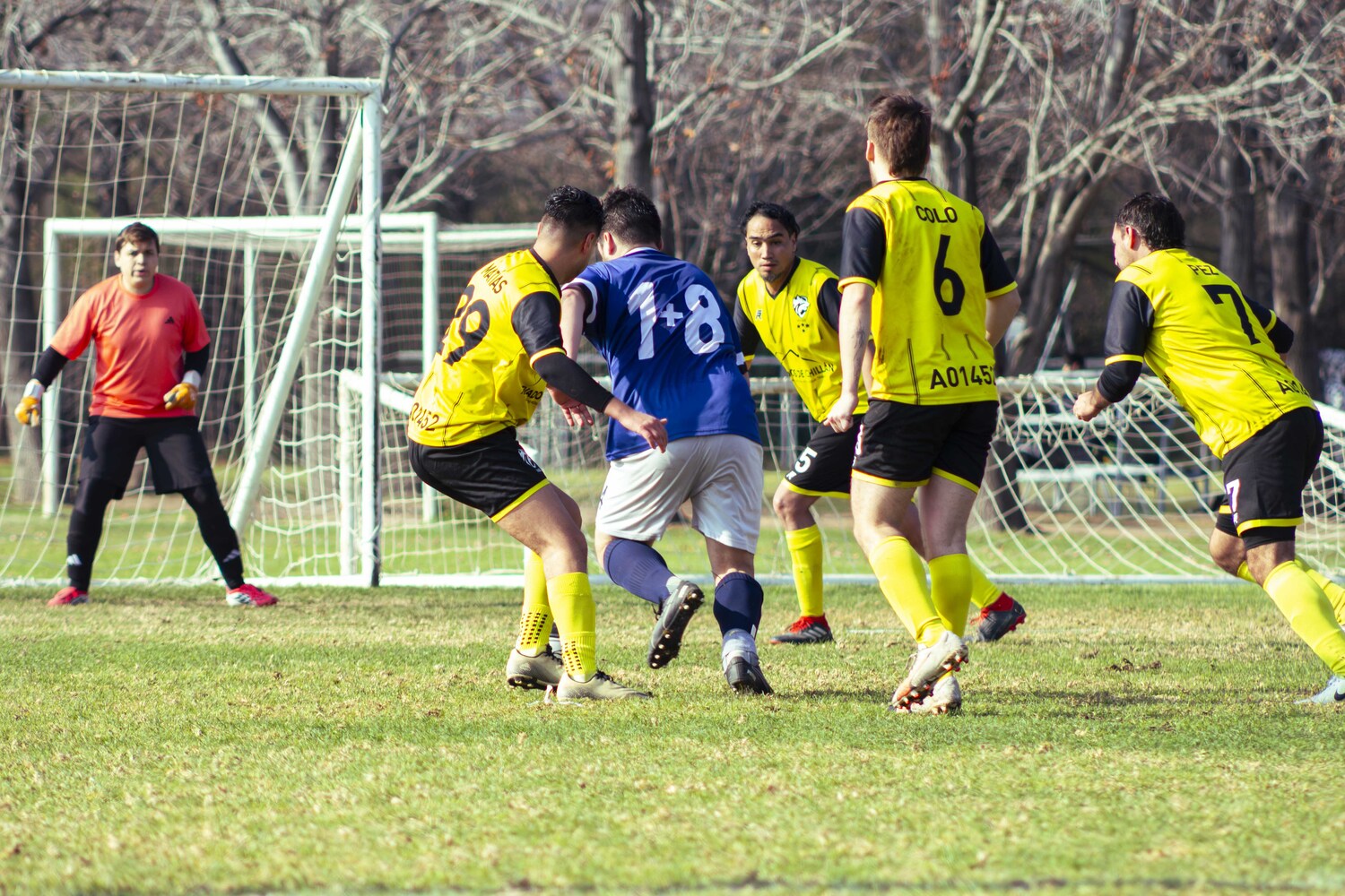 _MG_8557.jpg