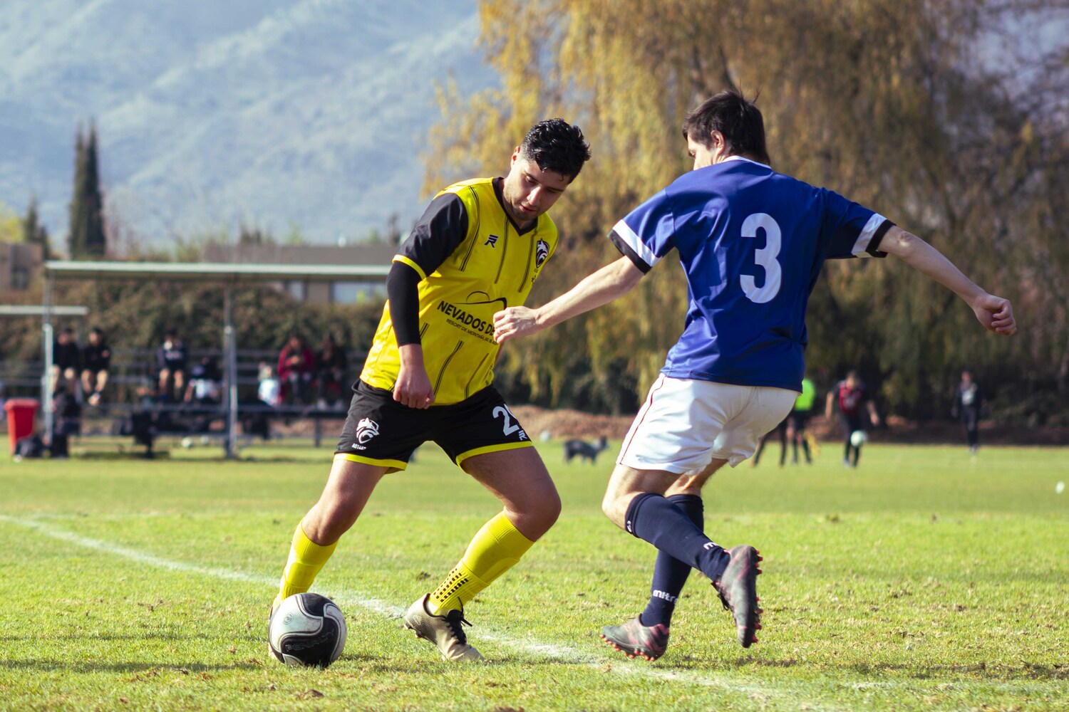_MG_8560.jpg