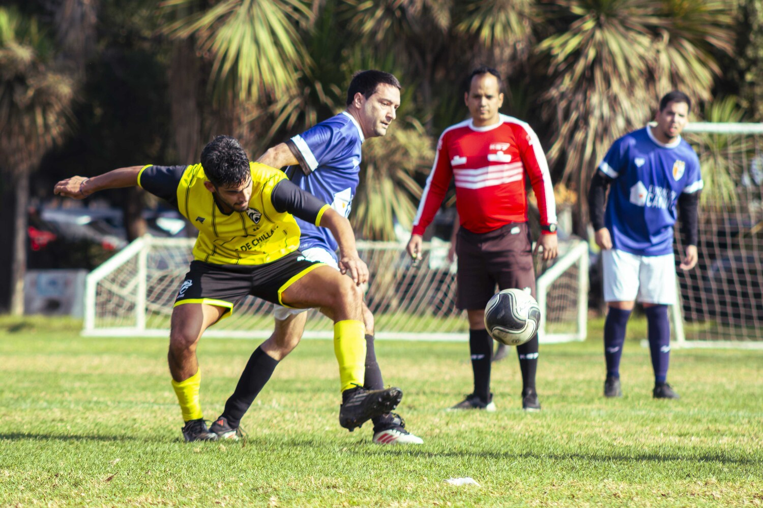 _MG_8582.jpg
