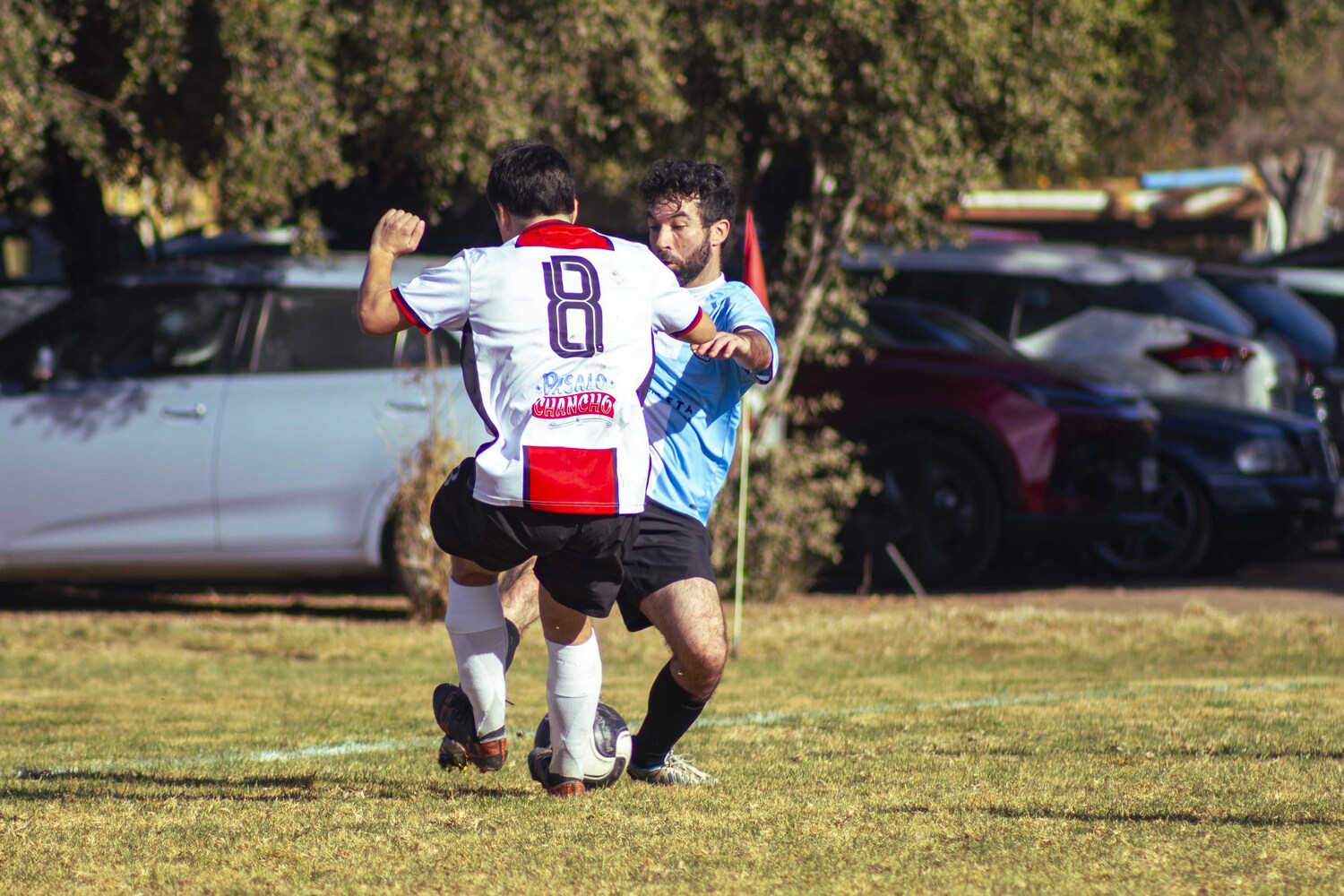_MG_8752.jpg