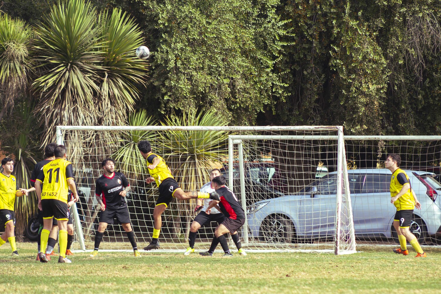 _MG_8847.jpg
